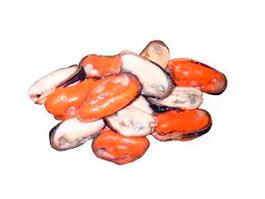 Mexilhão Desconchado